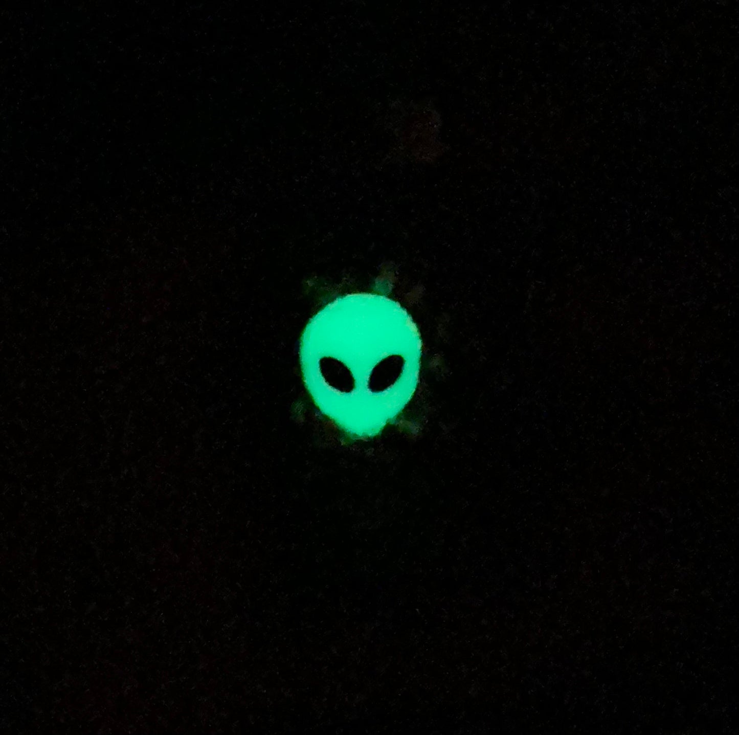 GREEN ALIEN MINI LIGHTER CASE
